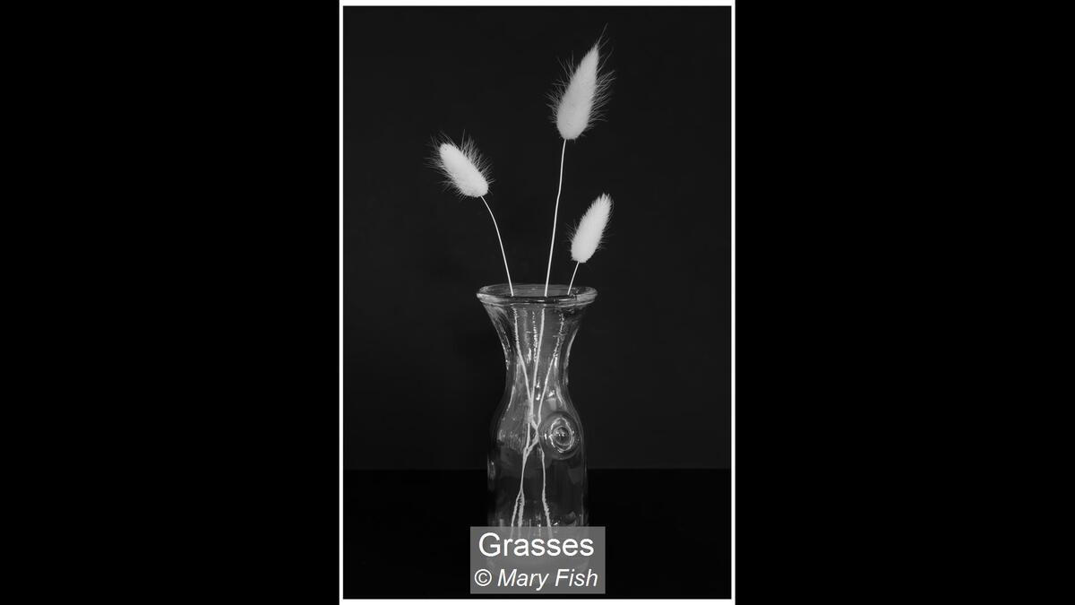 20_Grasses_Mary Fish